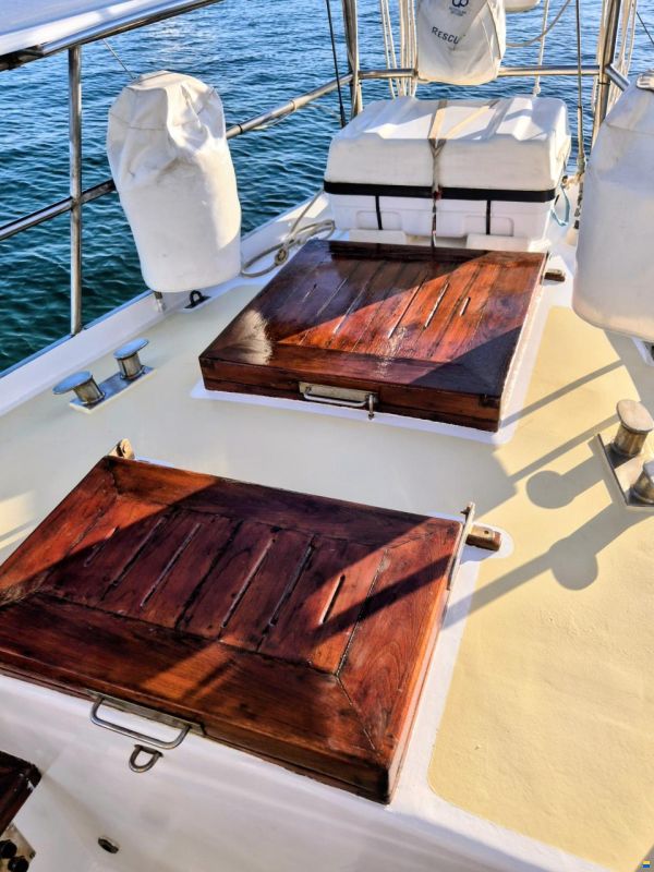 Brown Bluewater 49