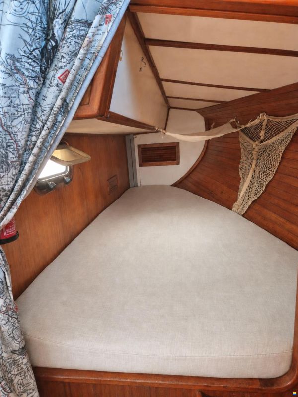 Brown Bluewater 49