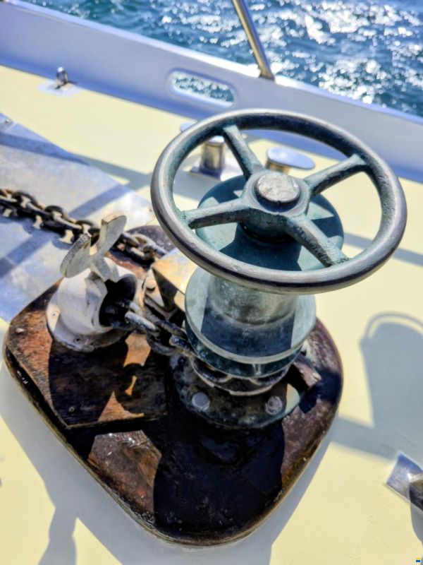 Brown Bluewater 49