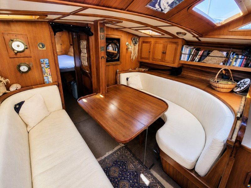 Brown Bluewater 49