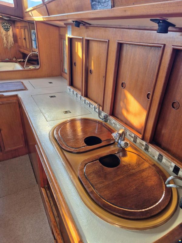 Brown Bluewater 49