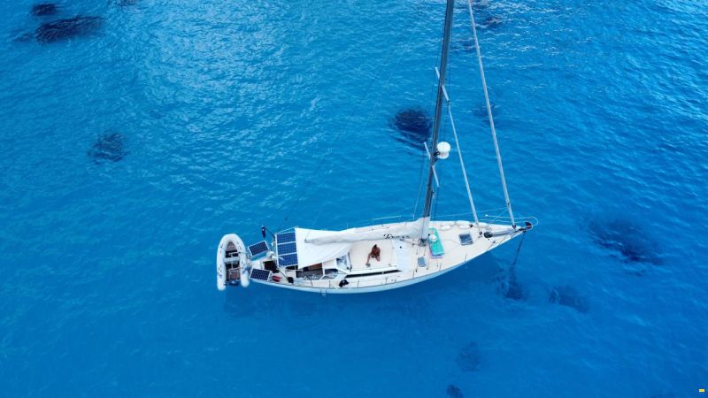 Brown Bluewater 49