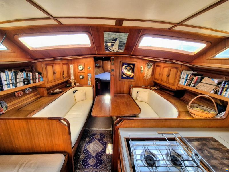 Brown Bluewater 49