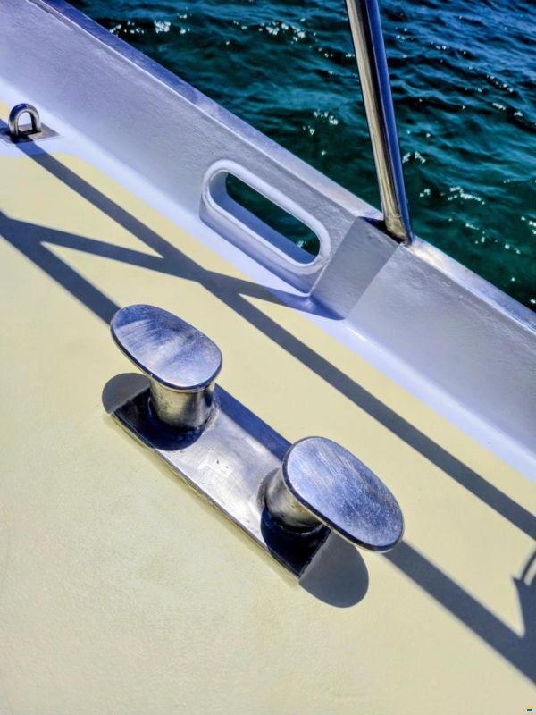 Brown Bluewater 49