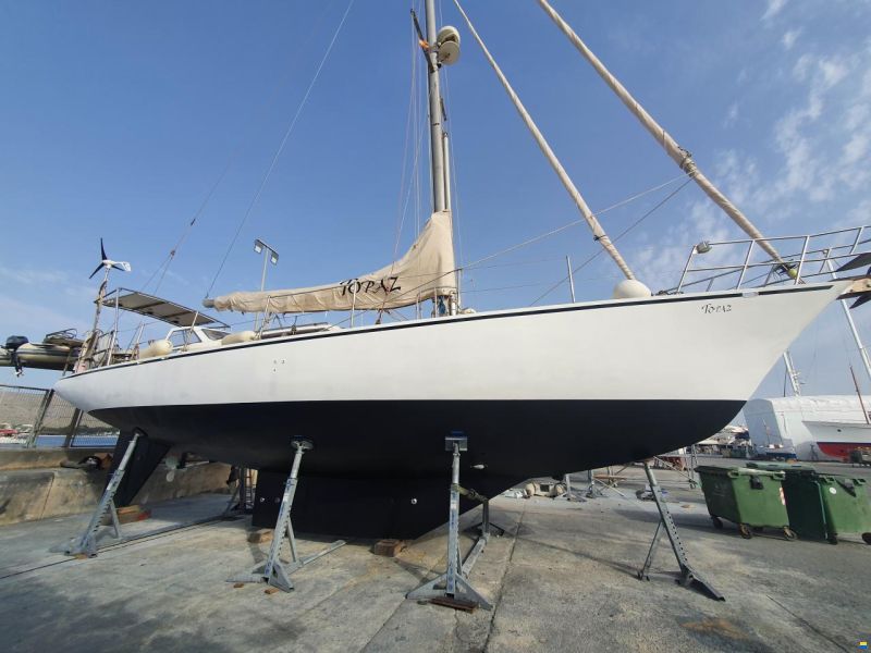 Brown Bluewater 49