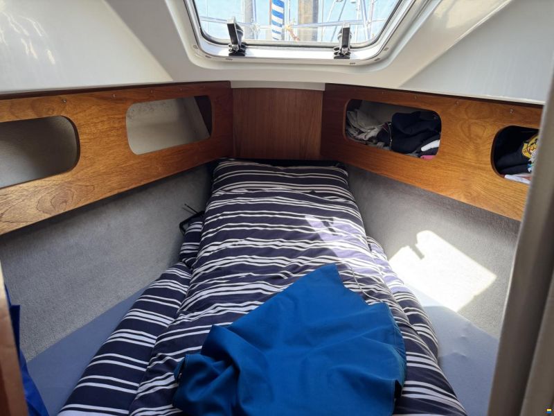 LM Vitesse 33 Cabrio