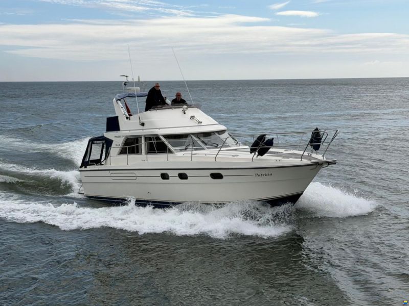 Princess 35