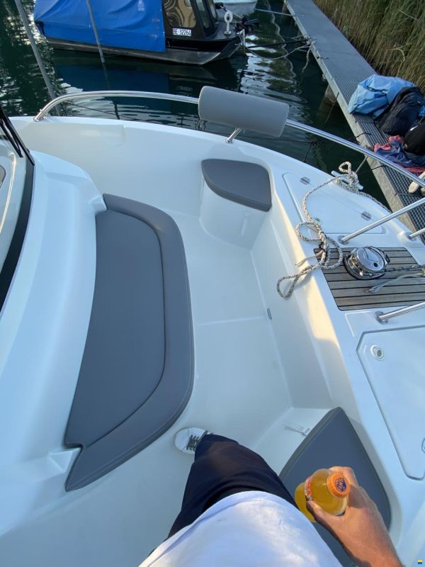 Barracuda 7