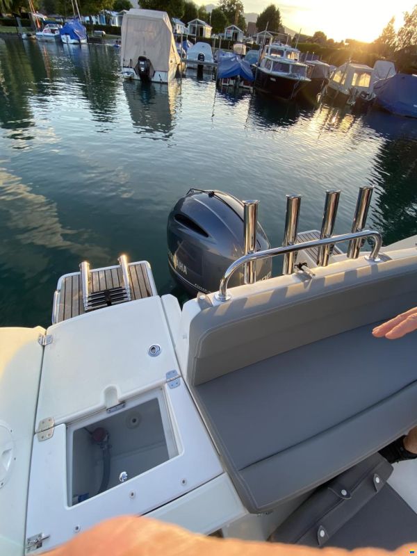 Barracuda 7