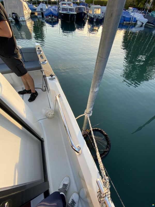 Barracuda 7