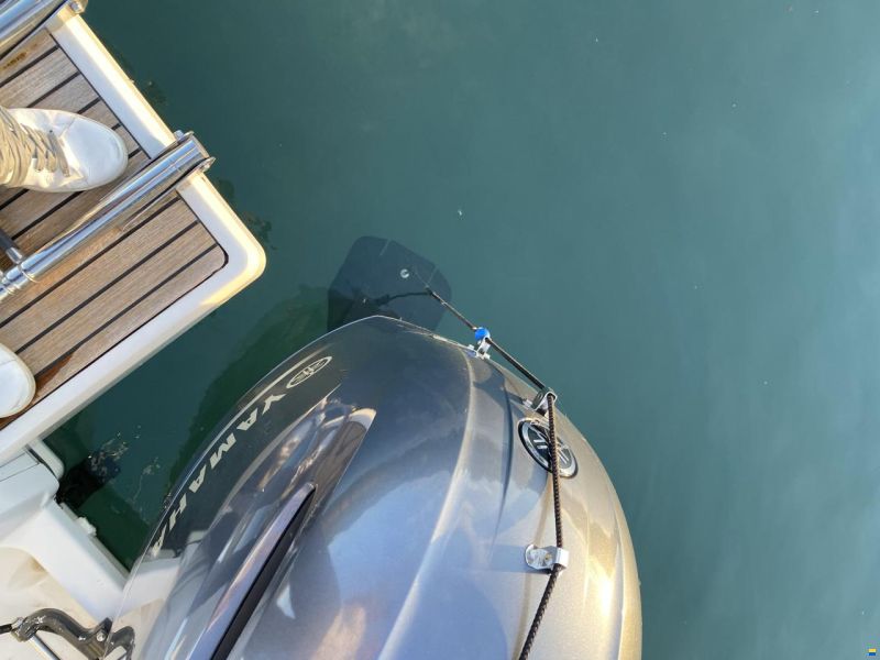 Barracuda 7