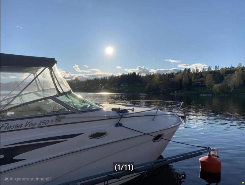 Rinker Fiesta Vee
