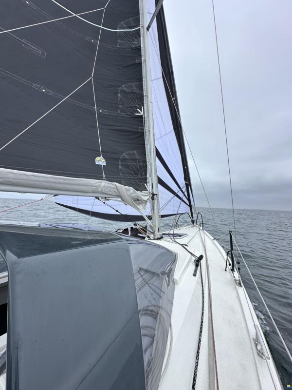 Bente 24 Edition
