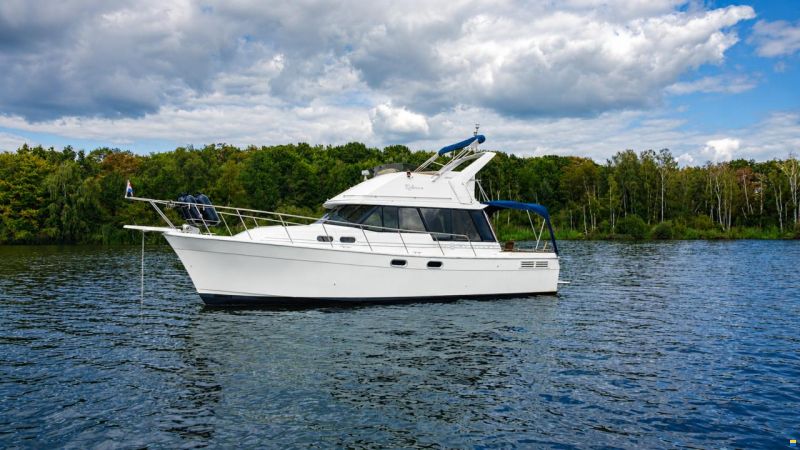 Bayliner 3288