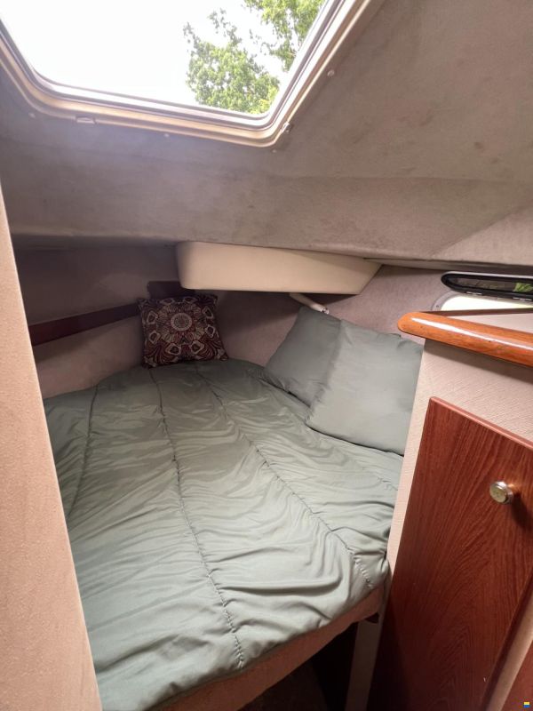 Bayliner 3288