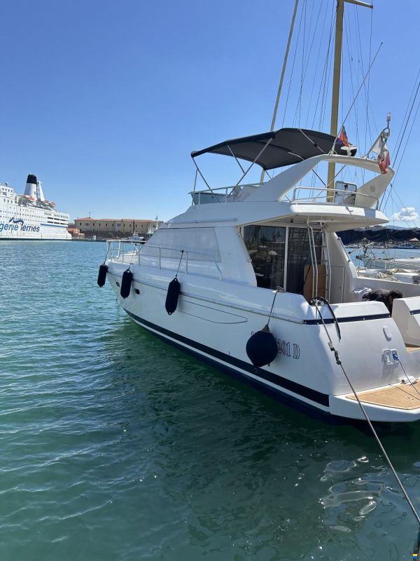 Alpa 40