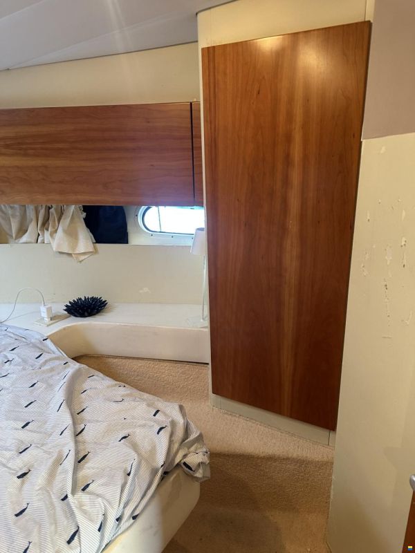 Alpa 40