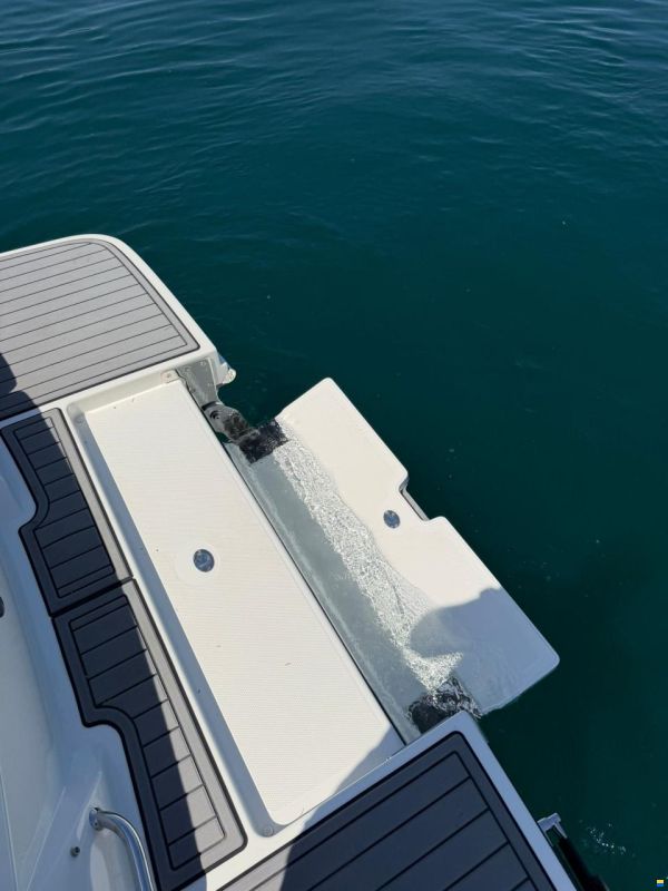 Sea Ray SPX 230
