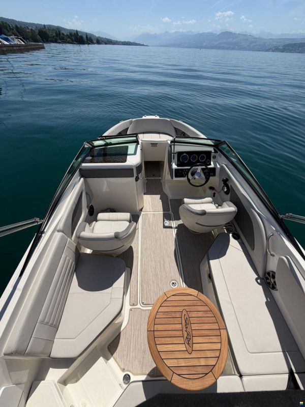 Sea Ray SPX 230
