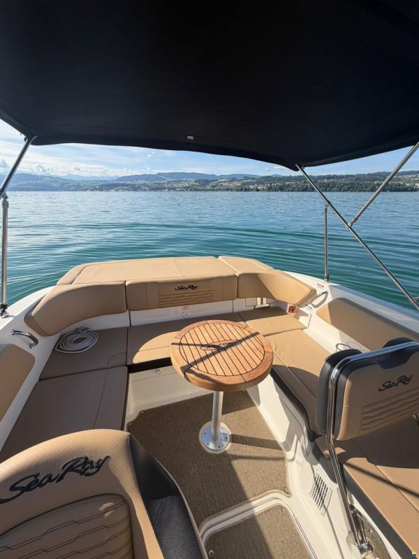 Sea Ray SPX 210