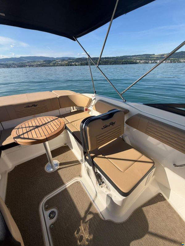 Sea Ray SPX 210