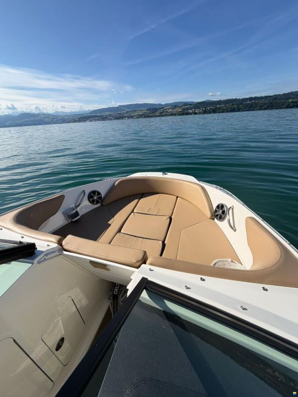 Sea Ray SPX 210