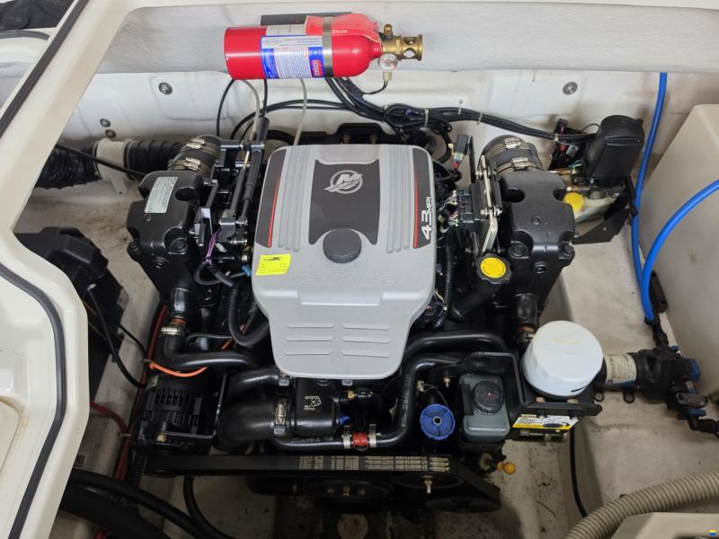 Bayliner 642 cuddy