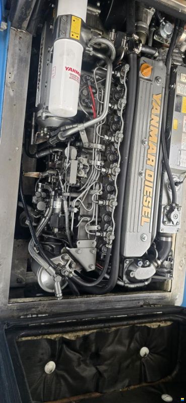 mstx 5