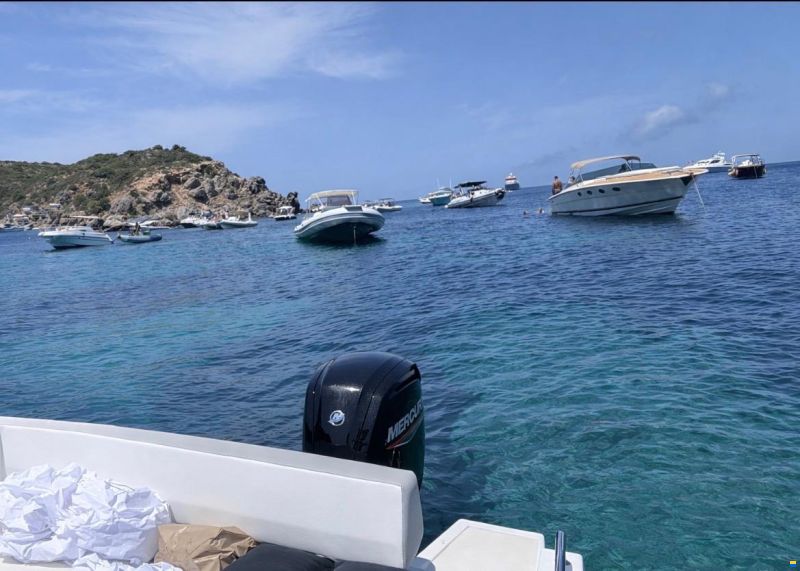 Orizzonti Nautilus 6,70