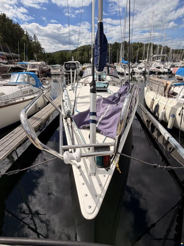 Finngulf 39