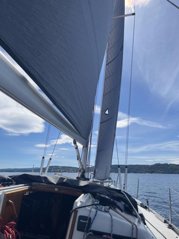 Finngulf 39