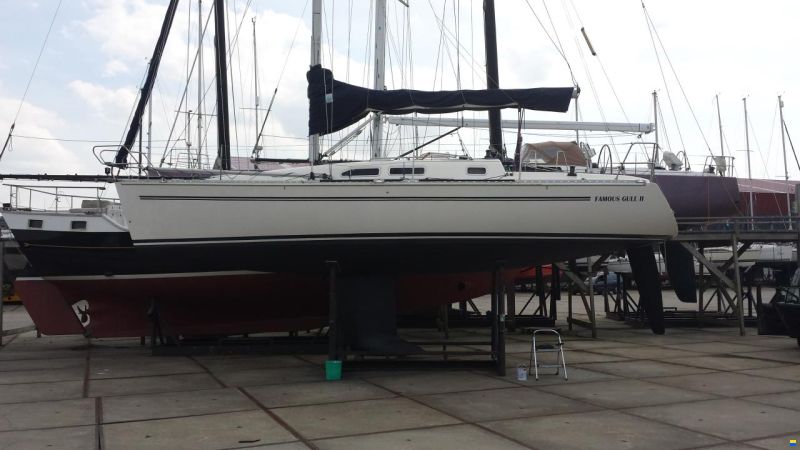 Elan 333