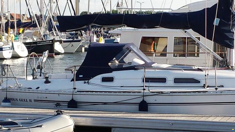 Elan 333