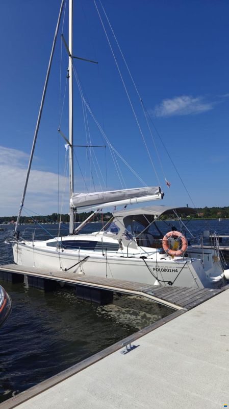 Delphia 31