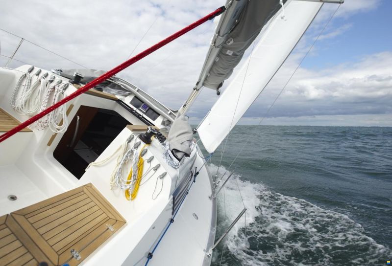 Delphia 31