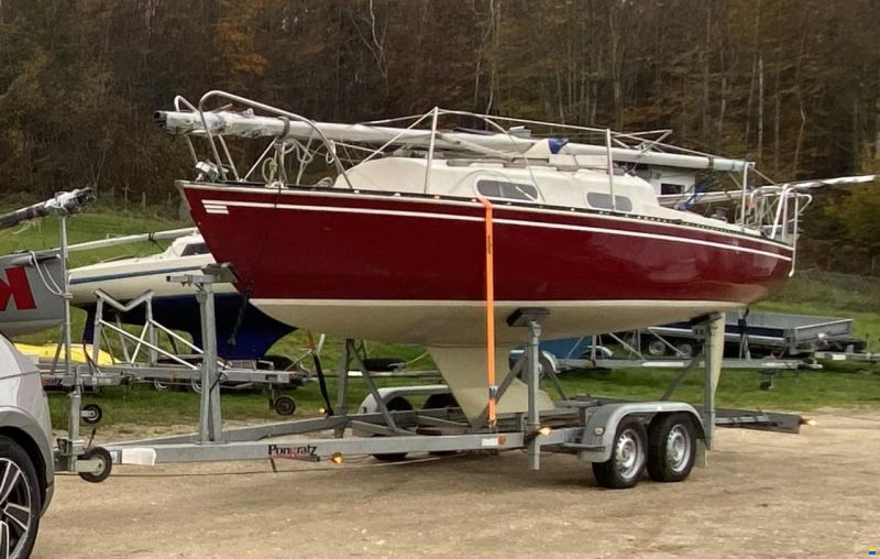 Korneuburg Shark 24