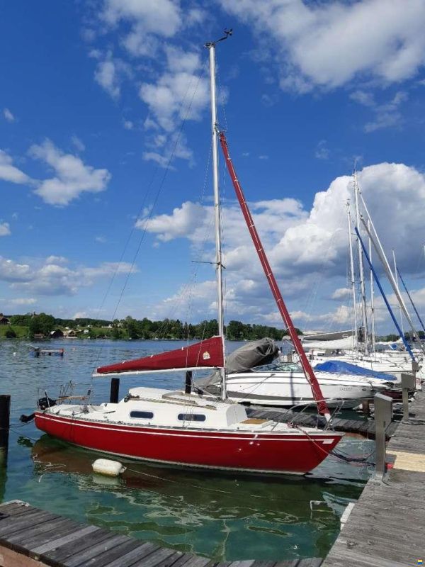 Korneuburg Shark 24