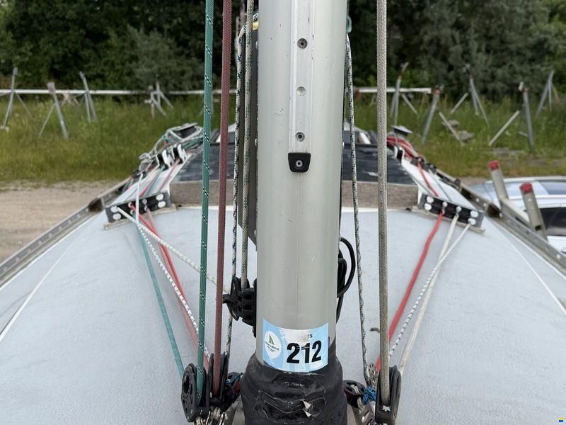 Ylva
