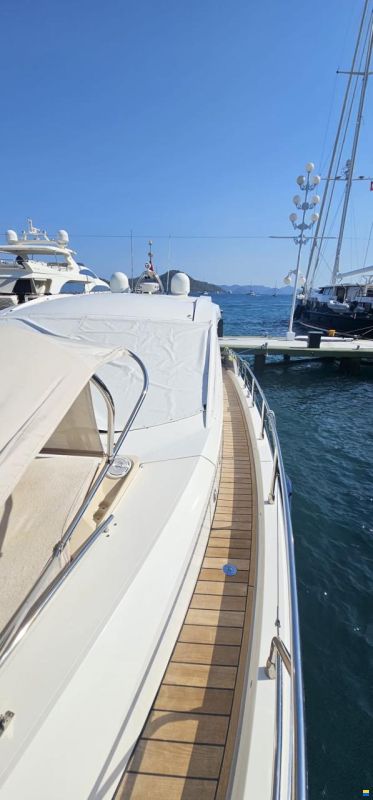 Sessa 54