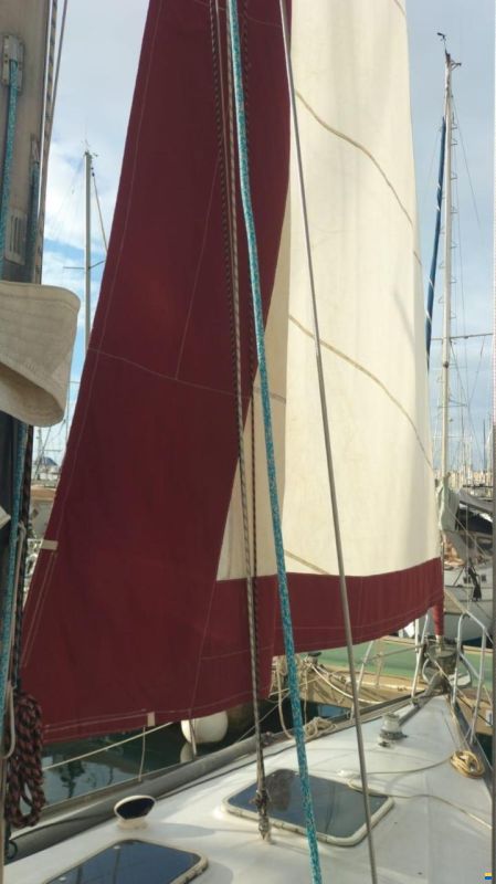 Comar Comet 11