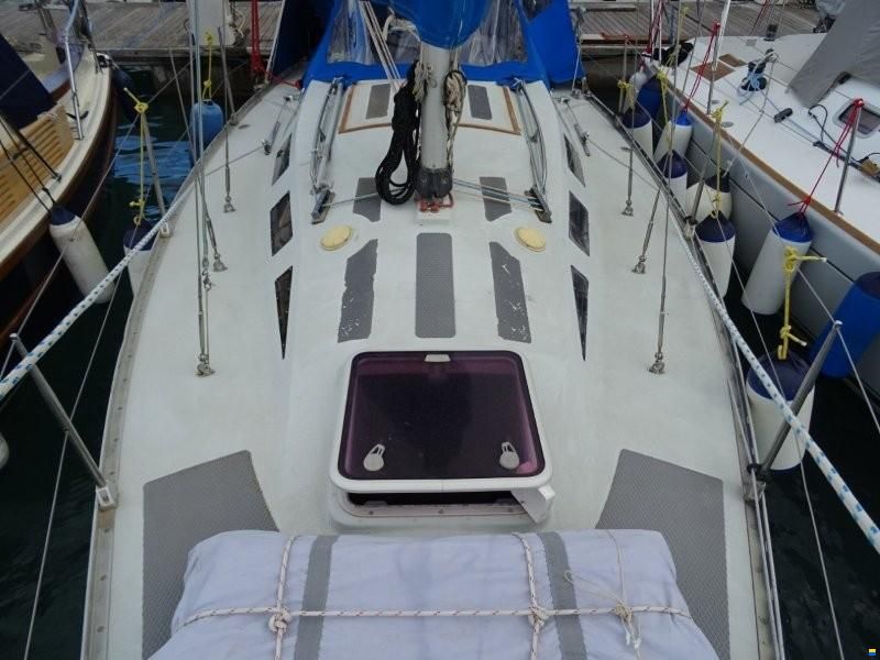 Everitt 29