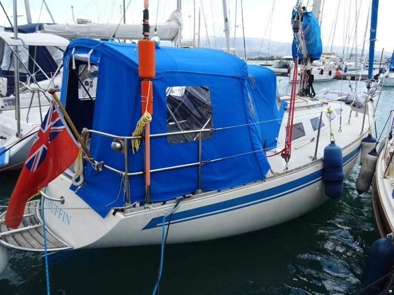 Everitt 29