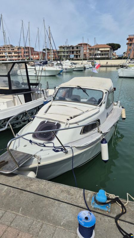 Hardy Sea Wings 194