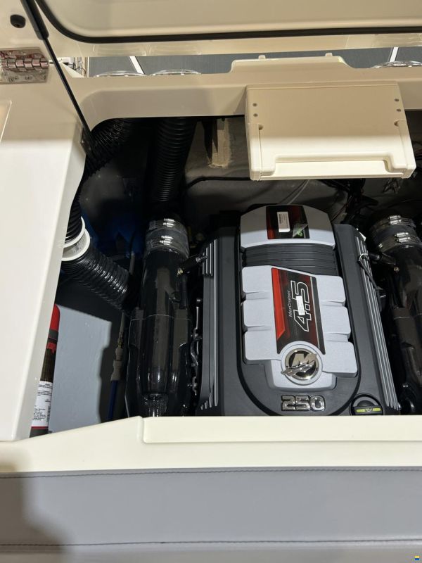 Bayliner V20i