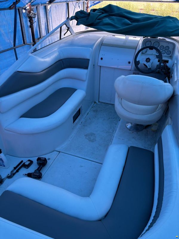 Chris Craft 262 Crown