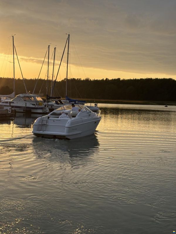 Chris Craft 262 Crown