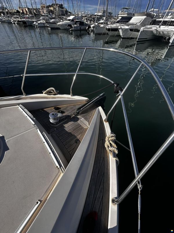 Rodman Muse 44