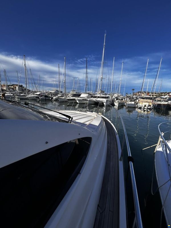 Rodman Muse 44