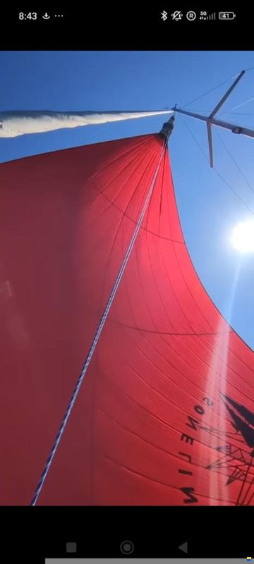 Bavaria Cruiser 41