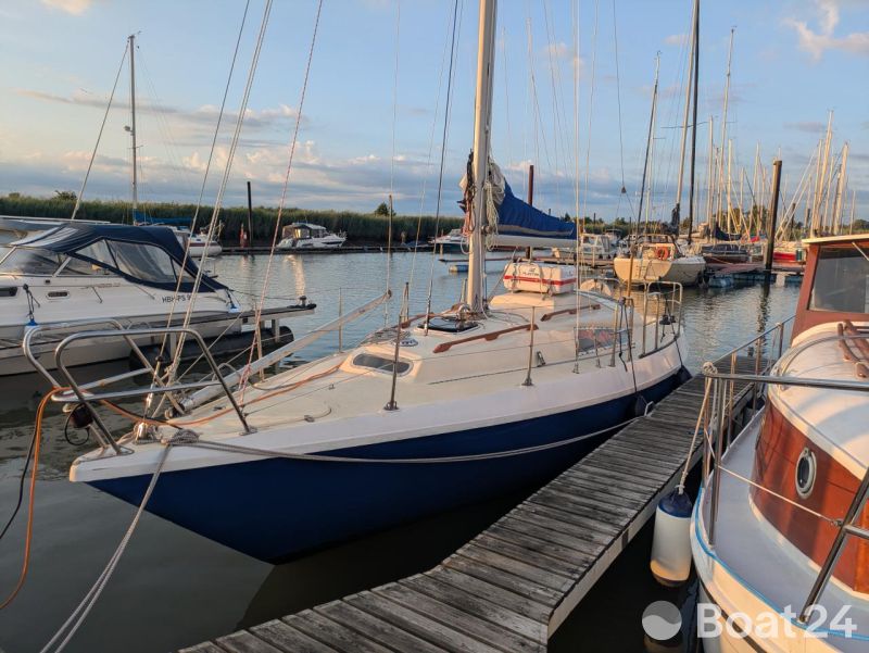 Neptun 31